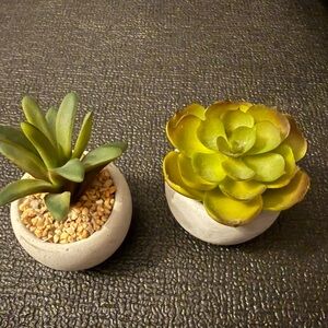 NWT! Artificial Succulent Plants - 2 Pack
